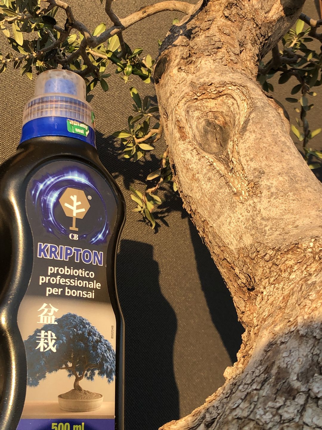 Customer photo review of KRIPTON CB® (Probiotico professionale per bonsai)