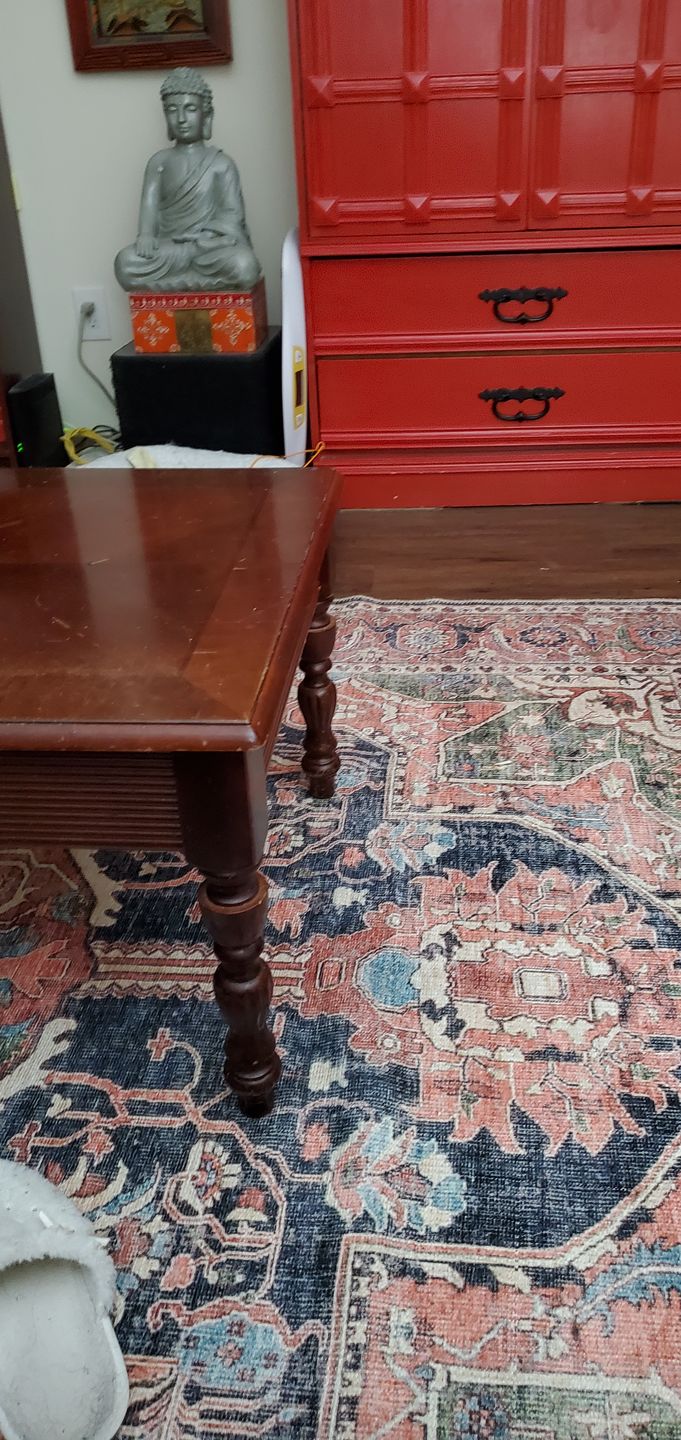 Customer photo review of Distressed Vintage Kendra Area Rug