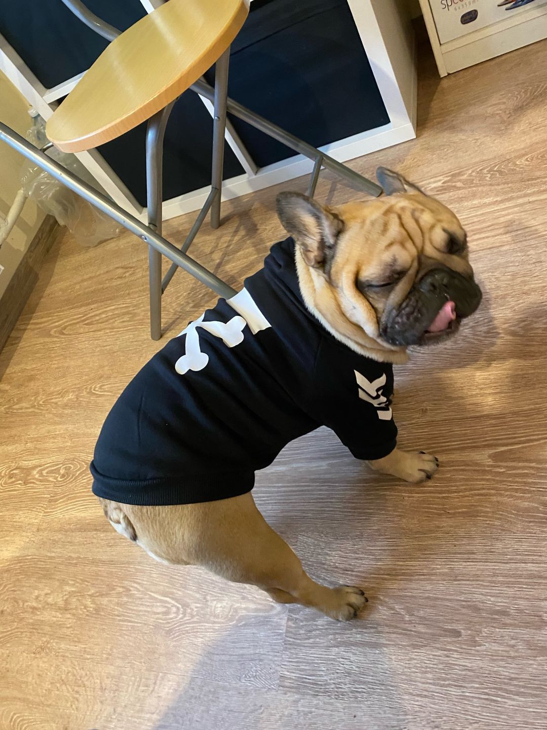 Customer photo review of Felpa "woof" Nera