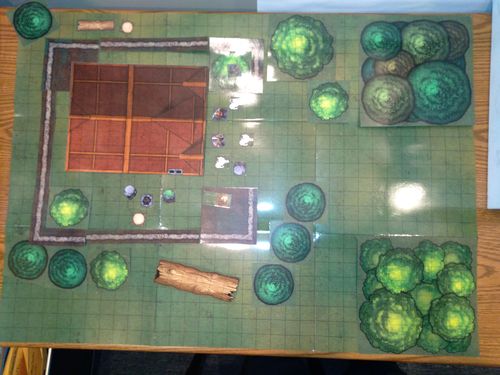 Customer photo review of Battle Map: Grasslands