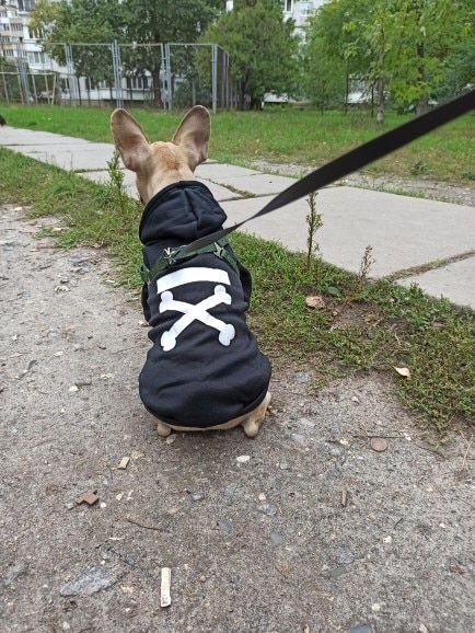 Customer photo review of Felpa "woof" Nera