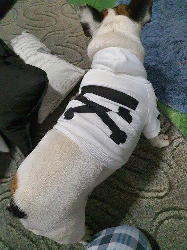 Customer photo review of Felpa "woof" Bianca