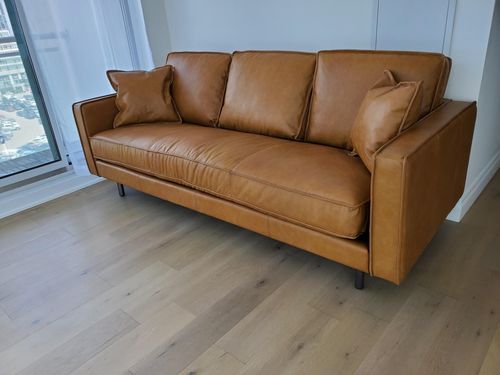 Customer photo review of Darcy Sofa