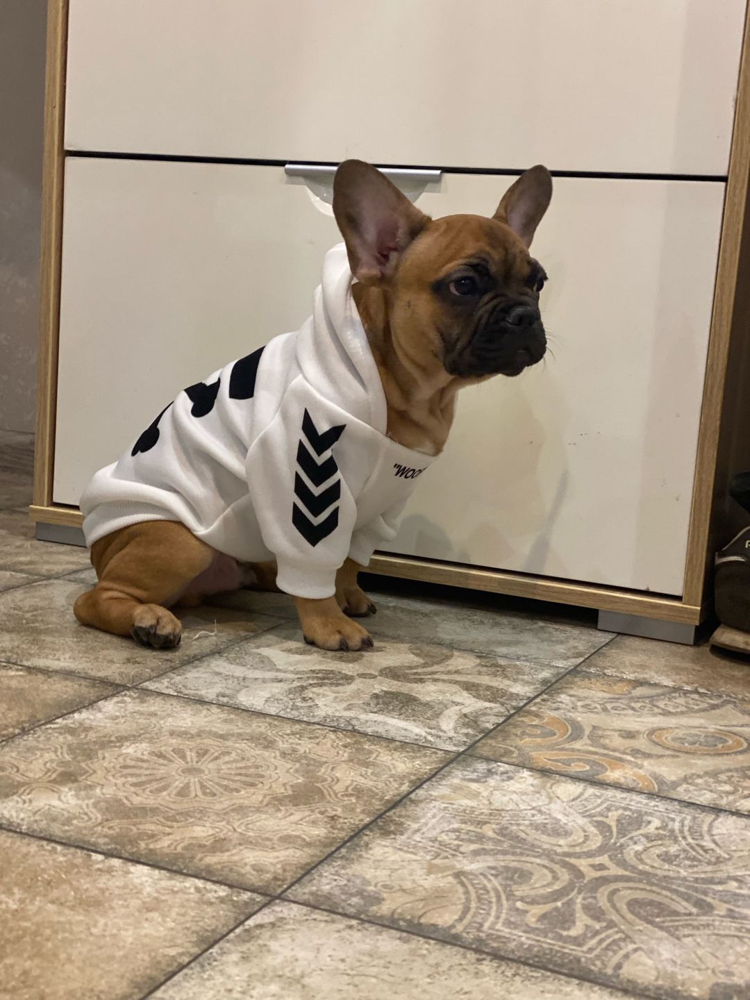 Customer photo review of Felpa "woof" Bianca