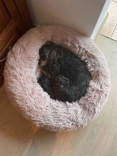 Customer photo review of Puppery Kuschelbett - Das Original