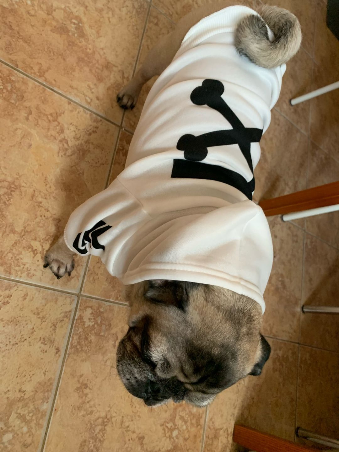 Customer photo review of Felpa "woof" Bianca
