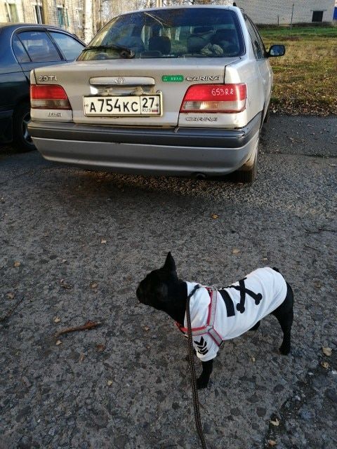 Customer photo review of Felpa "woof" Bianca
