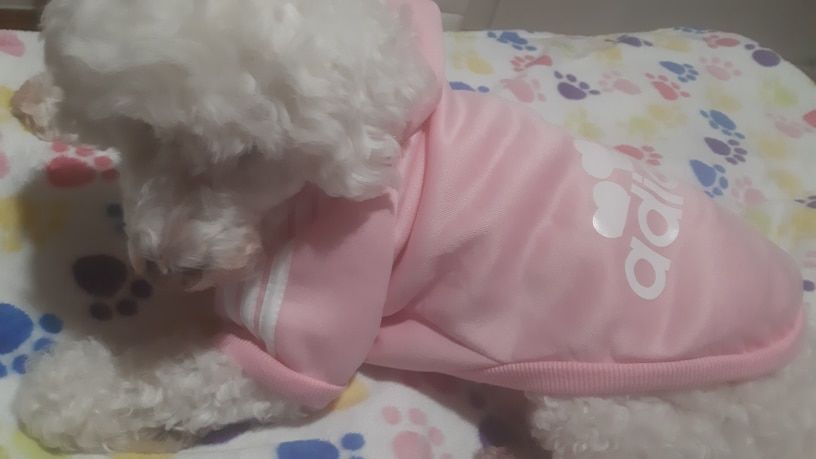 Customer photo review of Felpa "Adidog" Rosa