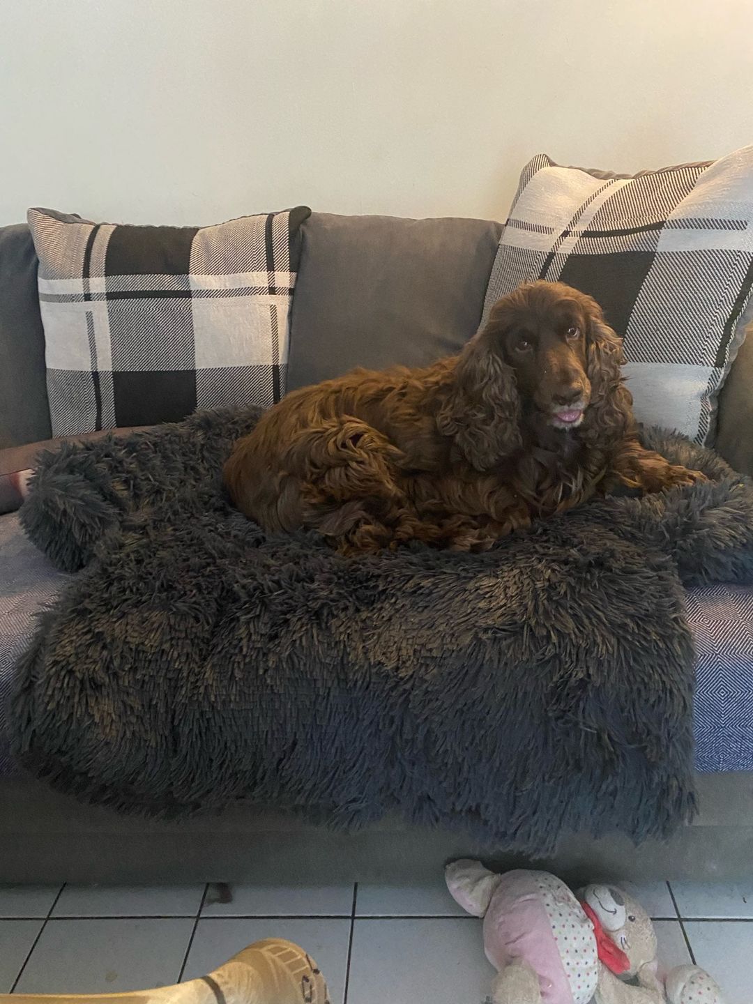 Customer photo review of CalmCouch - Motverkar ångest & skyddar din soffa