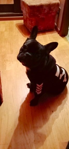 Customer photo review of Felpa "woof" Nera