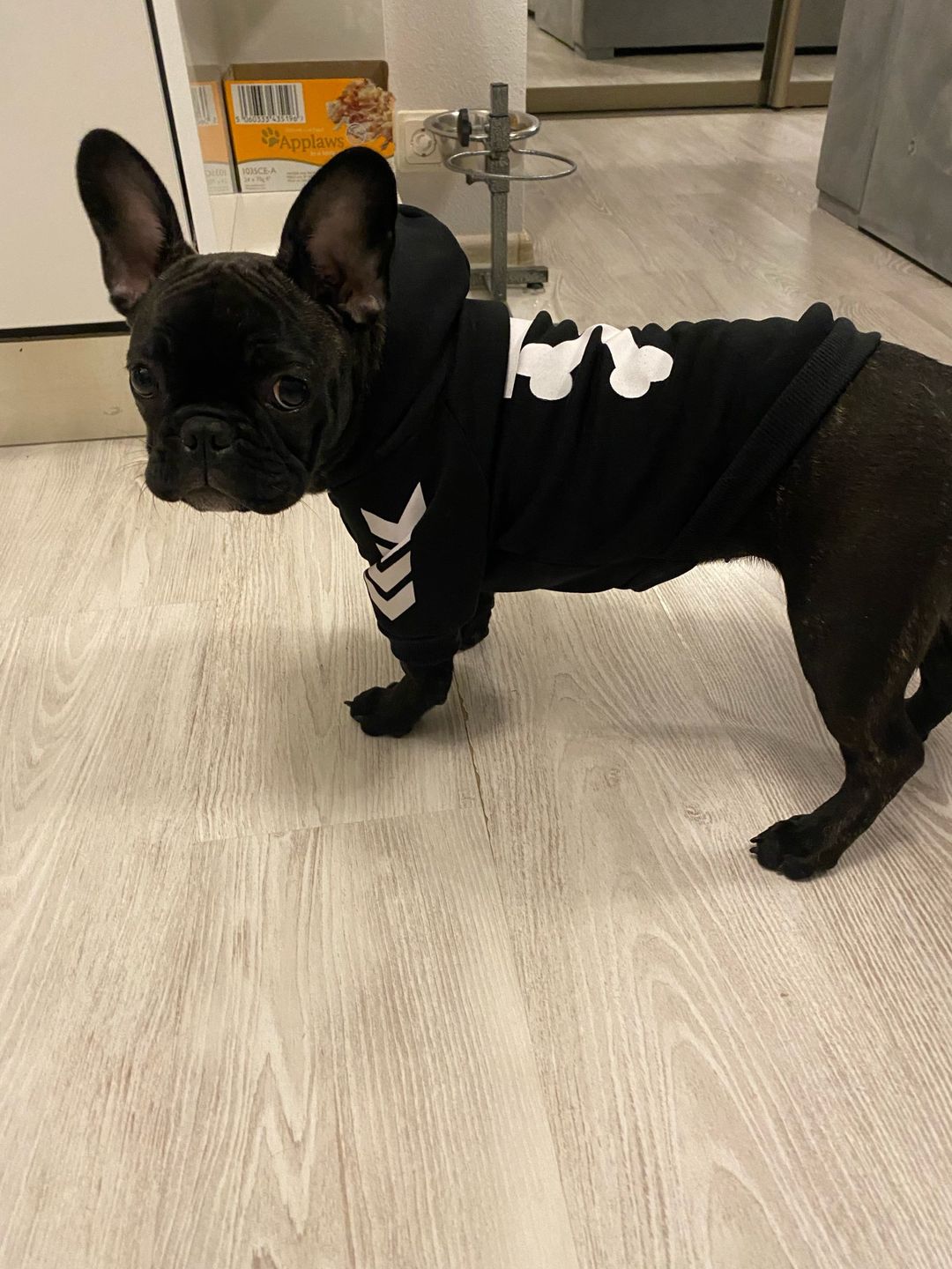 Customer photo review of Felpa "woof" Nera