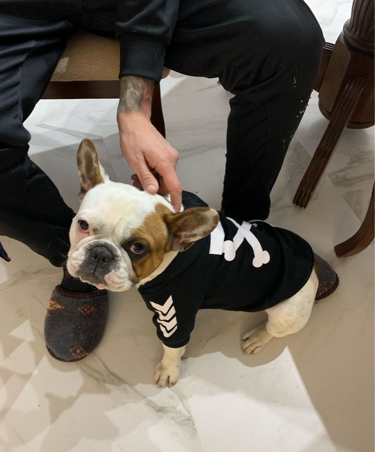 Customer photo review of Felpa "woof" Nera