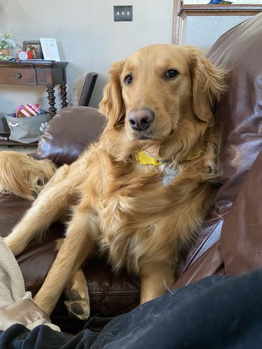 Customer photo review of Purple