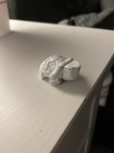 Customer photo review of Mini Crystal Turtles