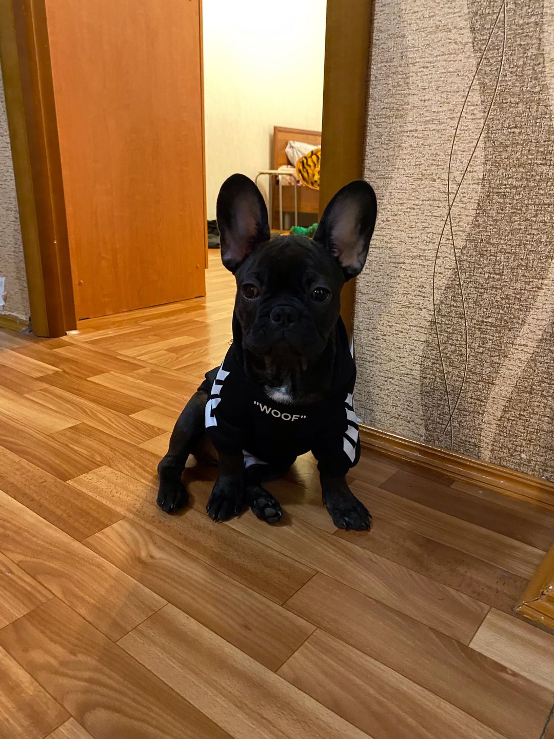 Customer photo review of Felpa "woof" Nera