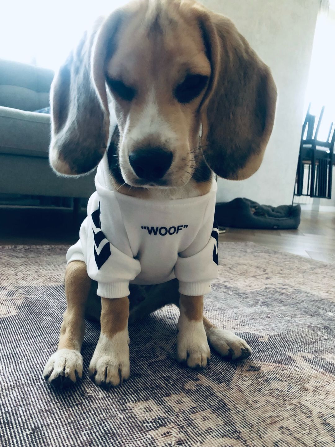 Customer photo review of Felpa "woof" Bianca