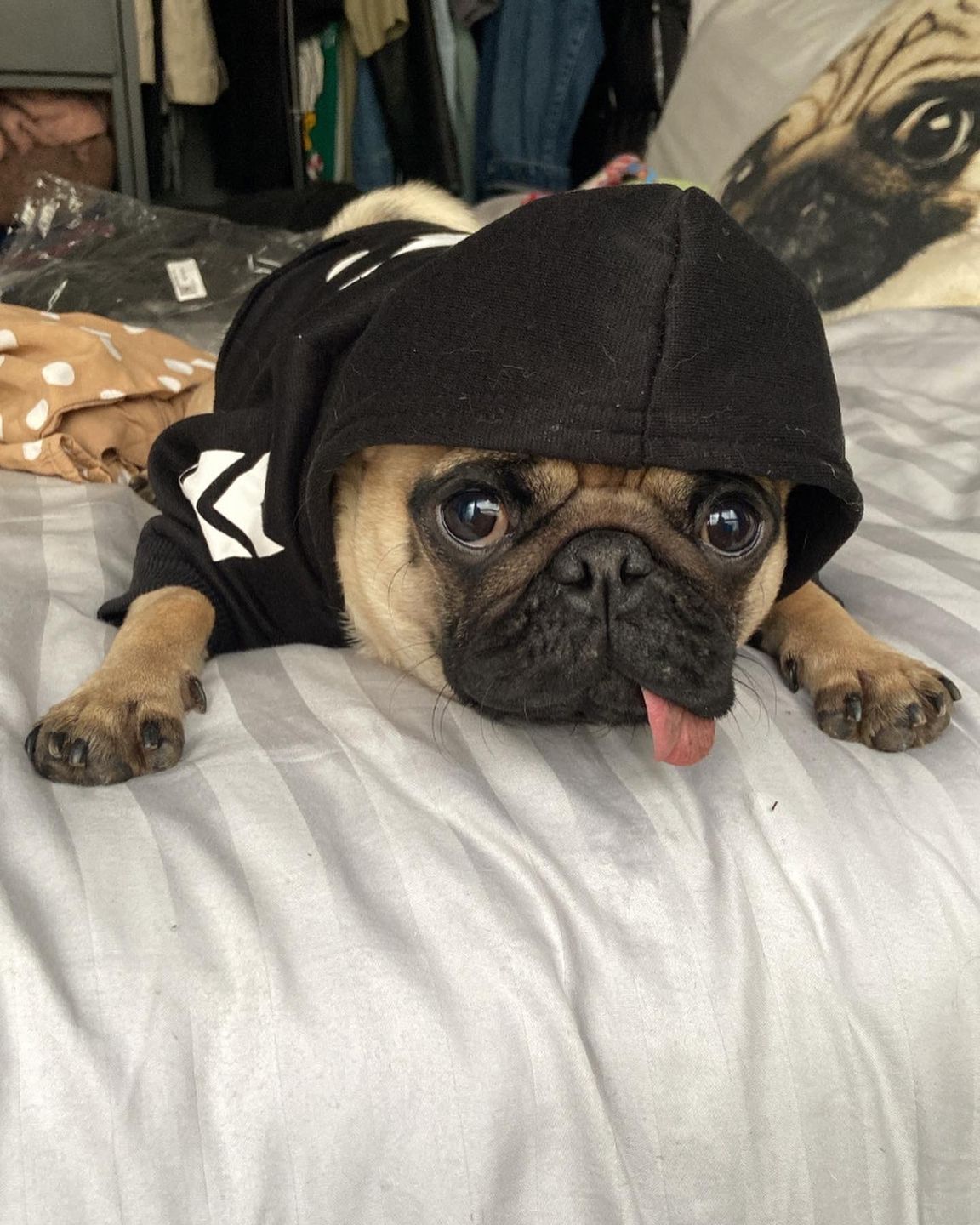 Customer photo review of Felpa "woof" Nera