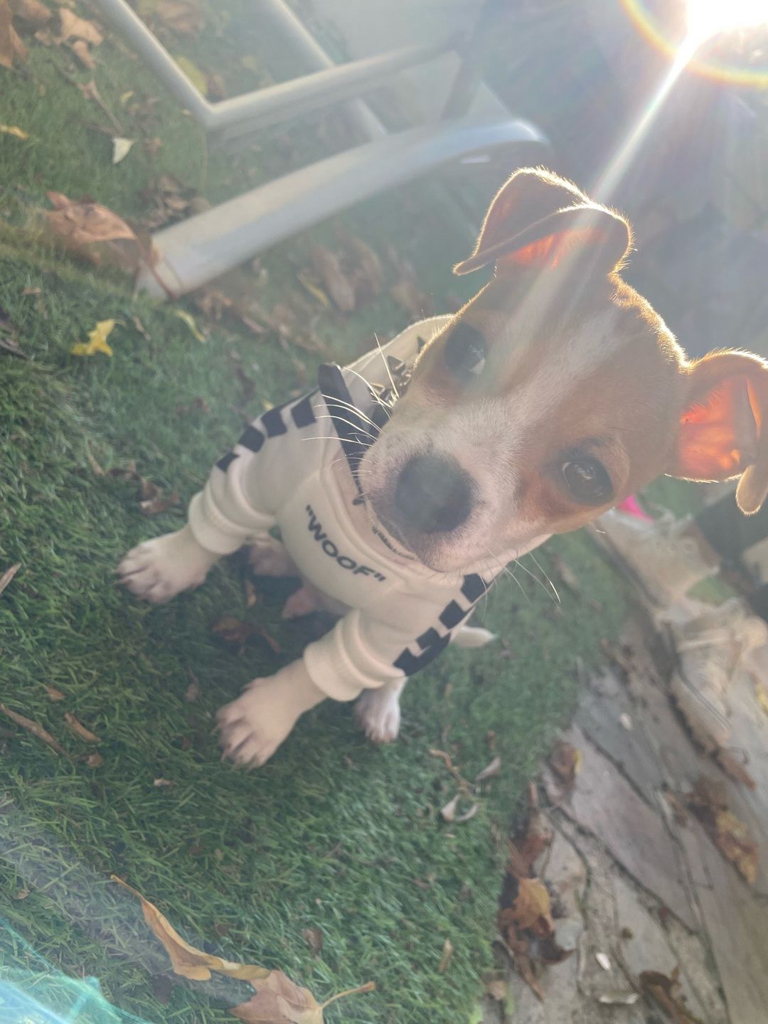 Customer photo review of Felpa "woof" Bianca