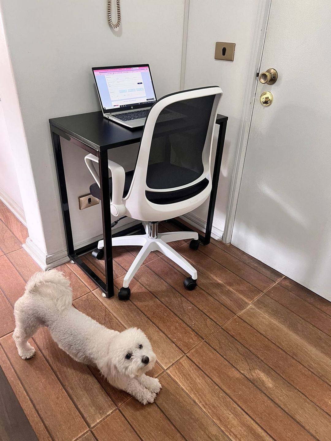 Customer photo review of Escritorio Kallfu Since 2020