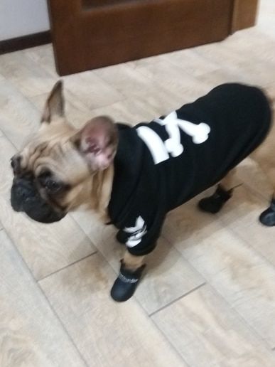 Customer photo review of Felpa "woof" Nera