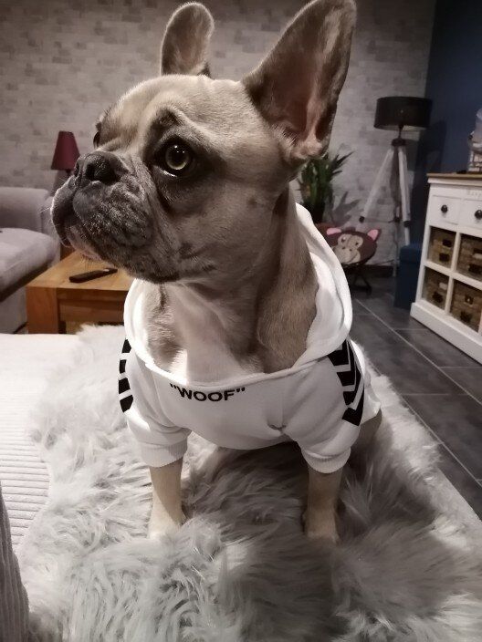 Customer photo review of Felpa "woof" Bianca