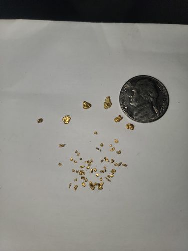 Customer photo review of 5-XL 'NUGGET RESERVE ELITE™' 5x the Nuggets Unsearched