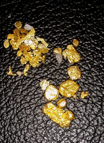 Customer photo review of Nugget Reserve 'MUSEUM SPECIMEN CHASE' - Gold Panning Paydirt