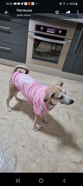 Customer photo review of Felpa "Adidog" Rosa