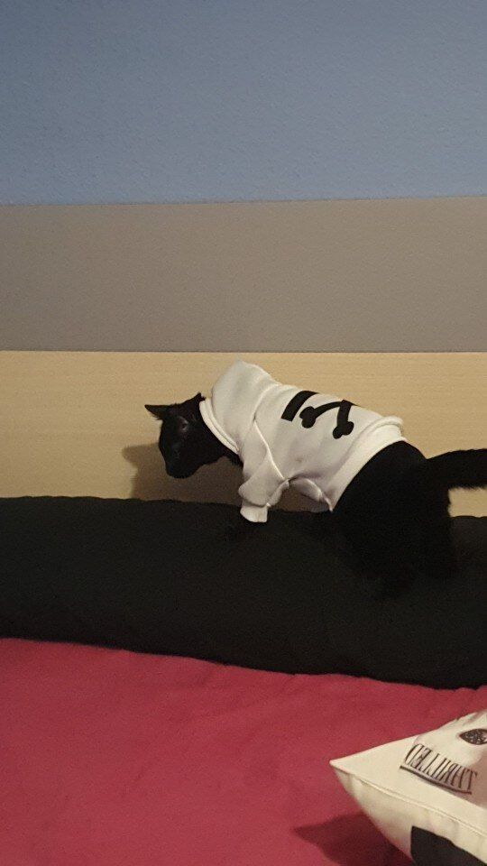 Customer photo review of Felpa "woof" Bianca