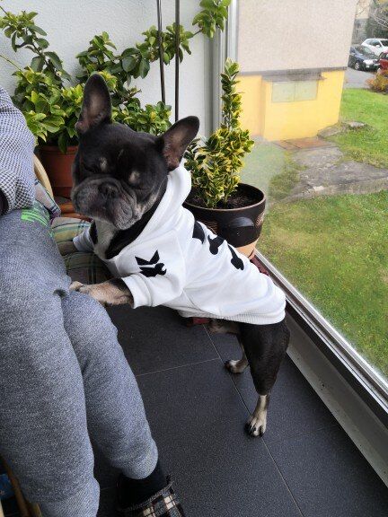 Customer photo review of Felpa "woof" Bianca