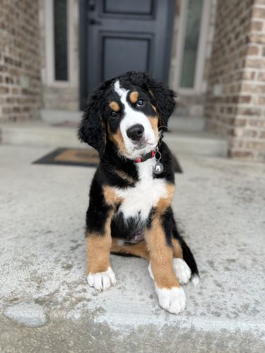 Customer photo review of Black