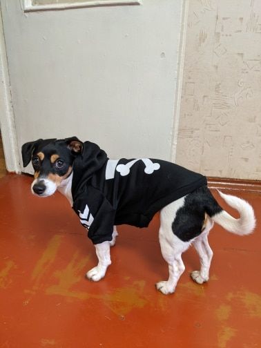 Customer photo review of Felpa "woof" Nera