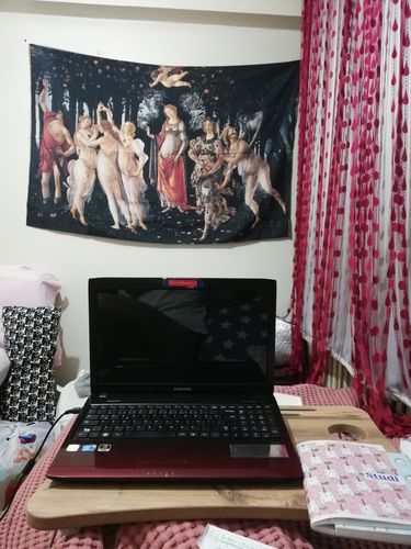 Customer photo review of Sandro Botticelli 1481 - 1482 La Primavera (Spring) Tablo Duvar Örtüsü