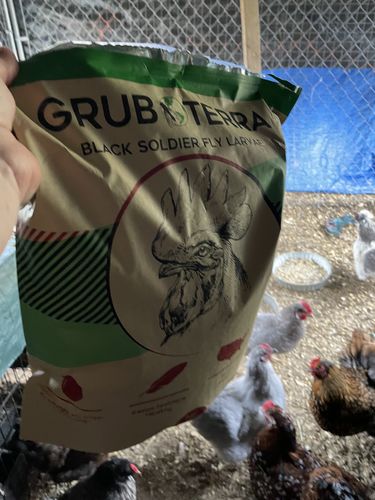 Customer photo review of GrubTerra Dried Larvae