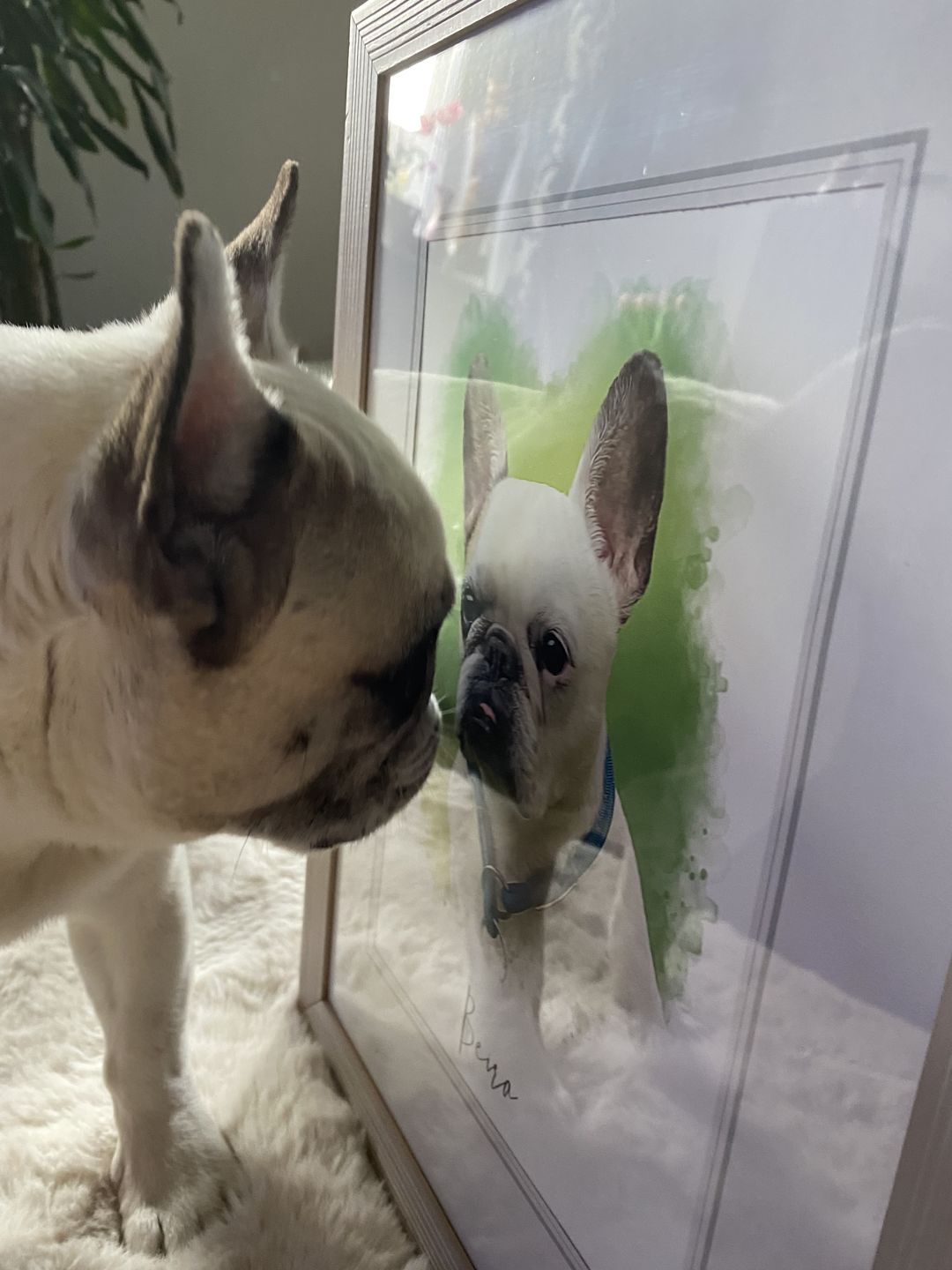 Customer photo review of Portrait deines Tieres im Wasserfarben-Stil