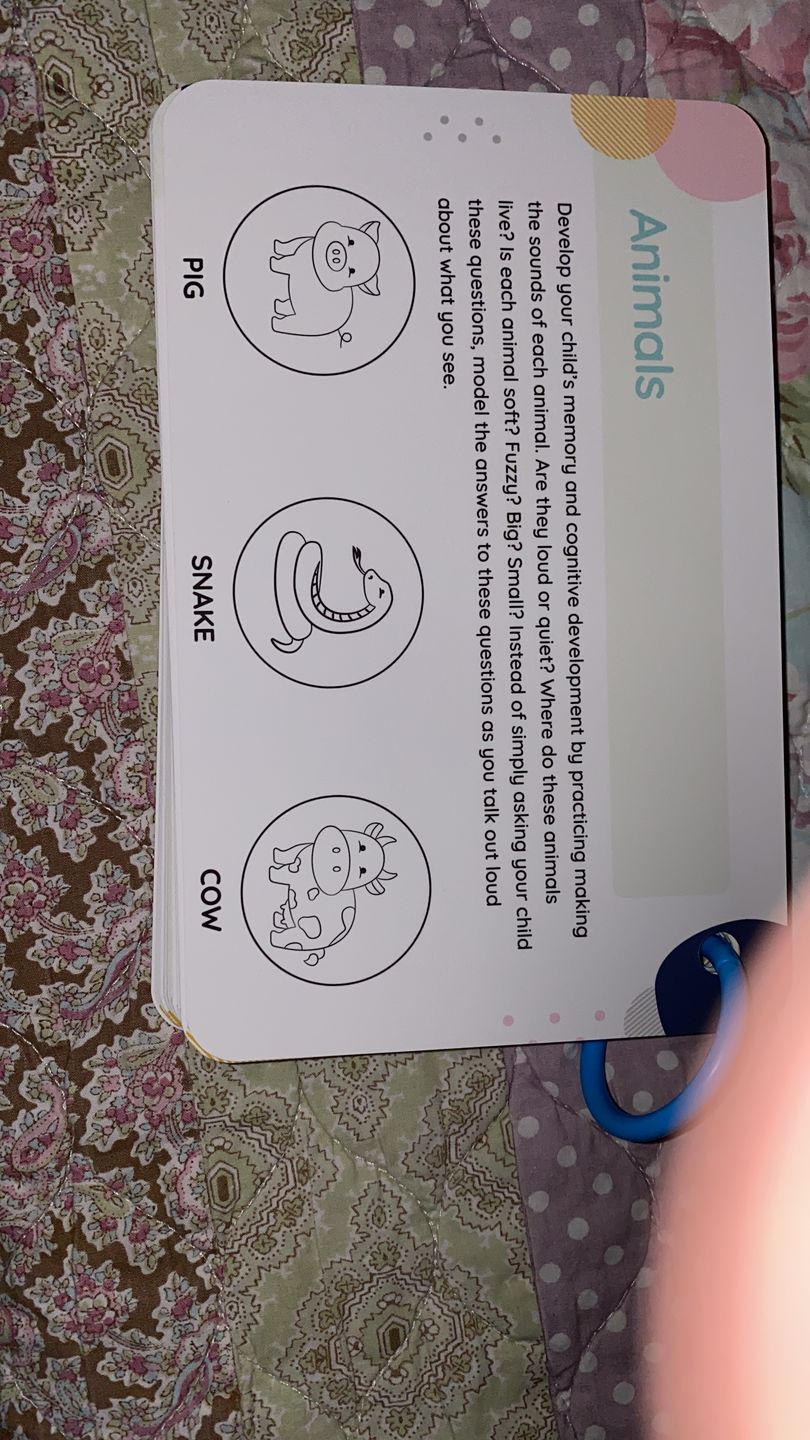 Customer photo review of Curious Toddler™️ Activity Cards