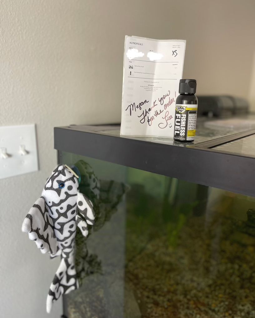 Customer photo review of Fritz Fishless Fuel (Liquid Ammonia Solution)