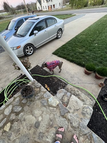 Customer photo review of Playa Poncho