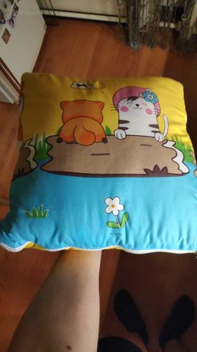Customer photo review of 2-in-1 Pillow Travel Blanket