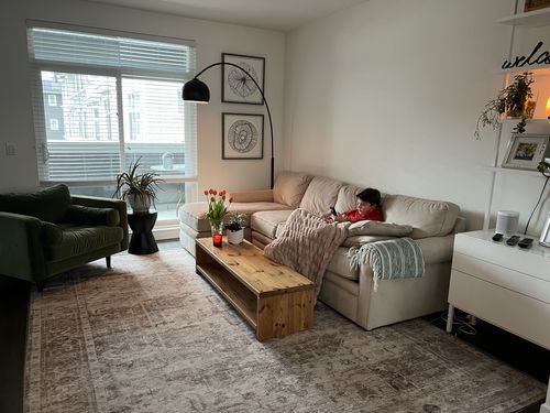 Customer photo review of Chateau Beige Rug