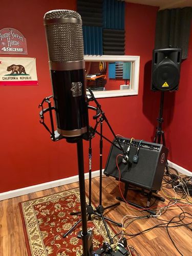 Customer photo review of Delphos II Condenser Microphone