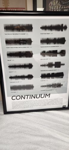 Customer photo review of "Continuum"