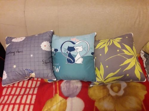 Customer photo review of 2-in-1 Pillow Travel Blanket
