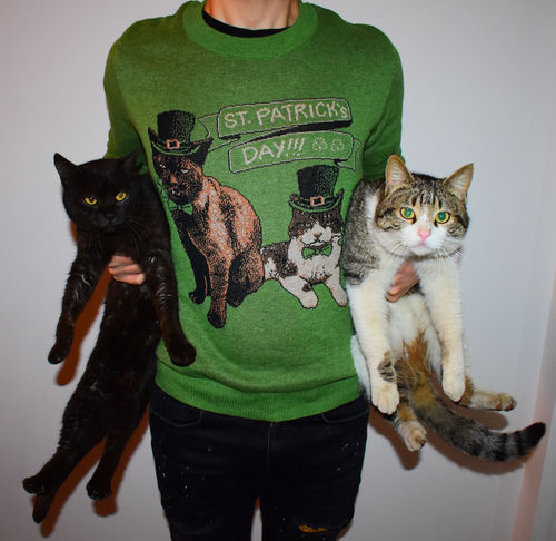 Customer photo review of Full-Body Pet Custom Sweater