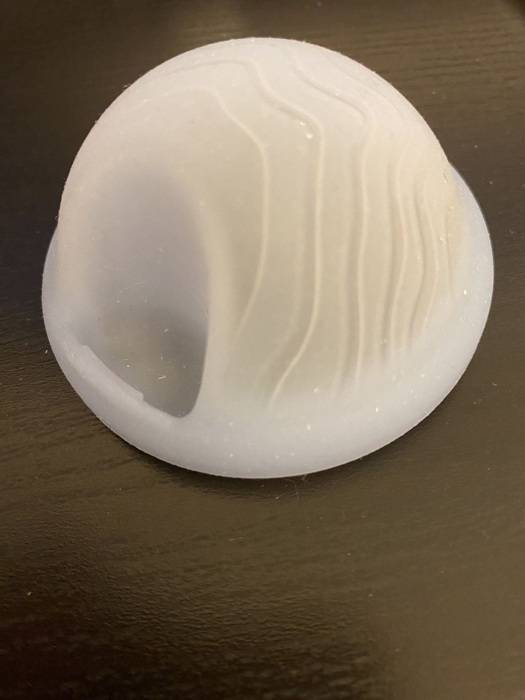 Customer photo review of Saalt Disc