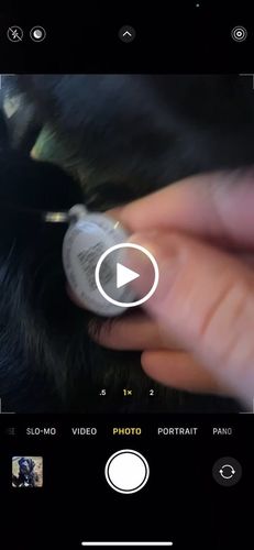 Customer video review of Paw & Bones