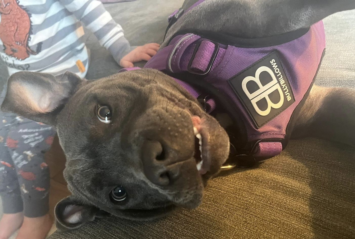 Customer photo review of ID Dog Tag - Black (With Gift Box)