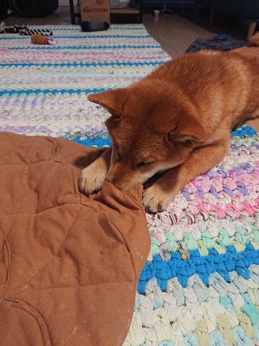 Customer photo review of Playmat - Pine Cone