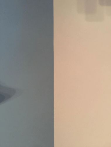 Customer photo review of EZ™️ Paint Brush Edger