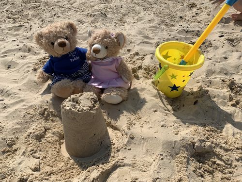 Customer photo review of Eddy The Teddy Bear